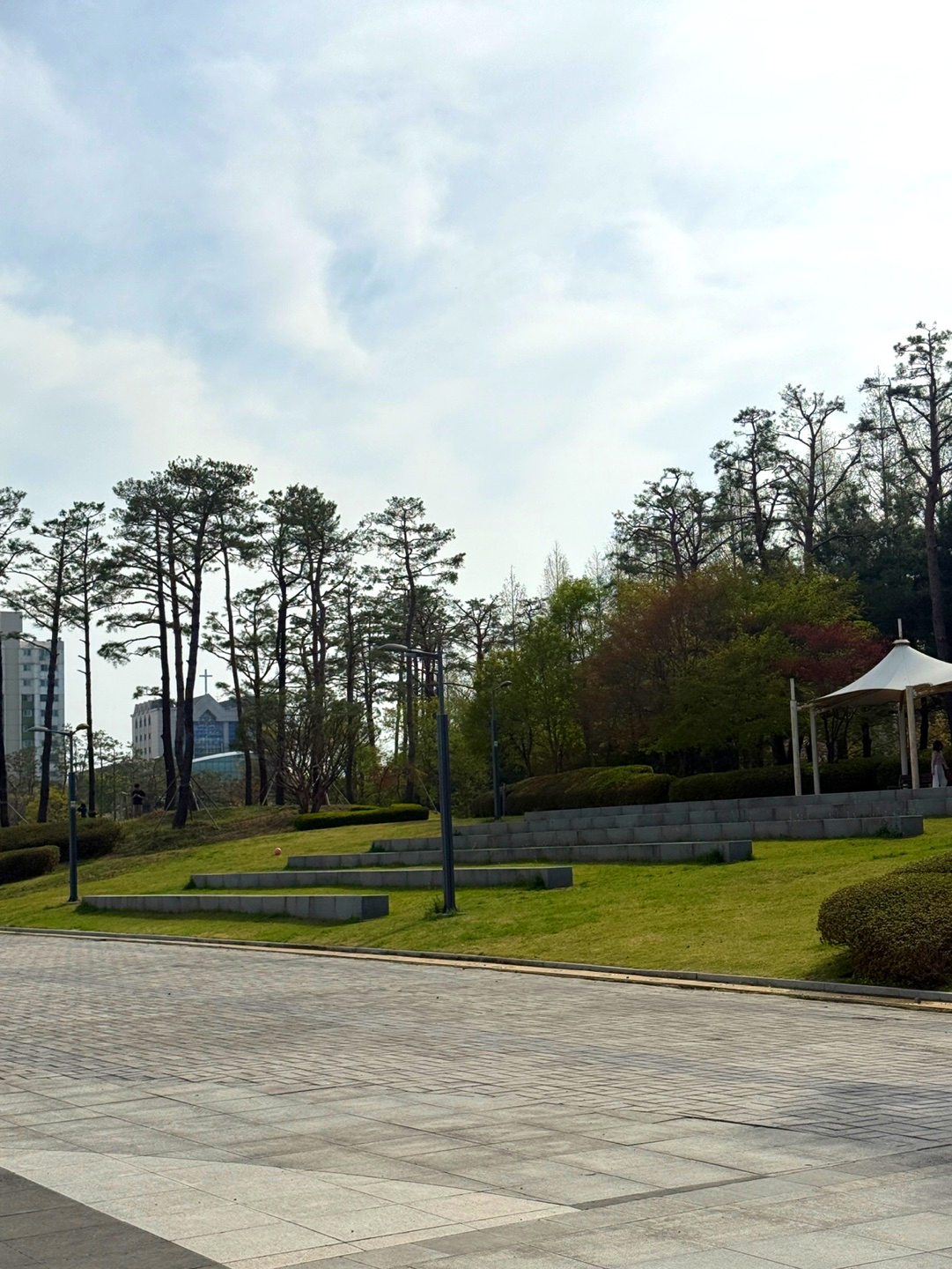 성남시청 계단형 공간 잔디 언덕 아이 놀이 구간