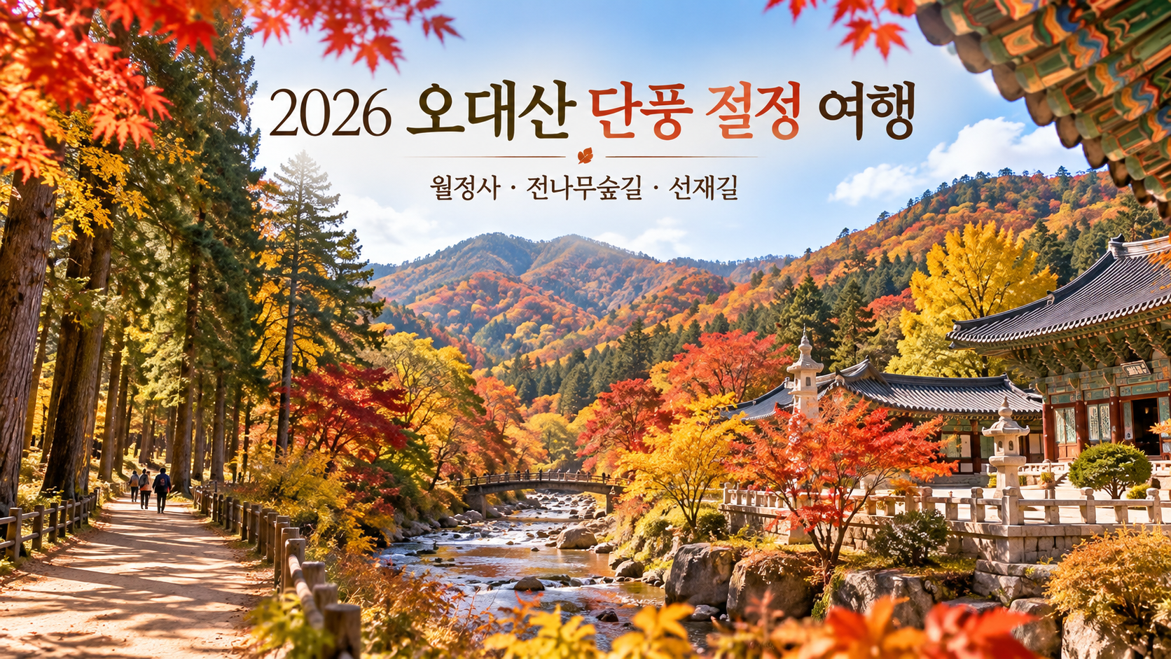 2026 오대산 단풍 절정 여행