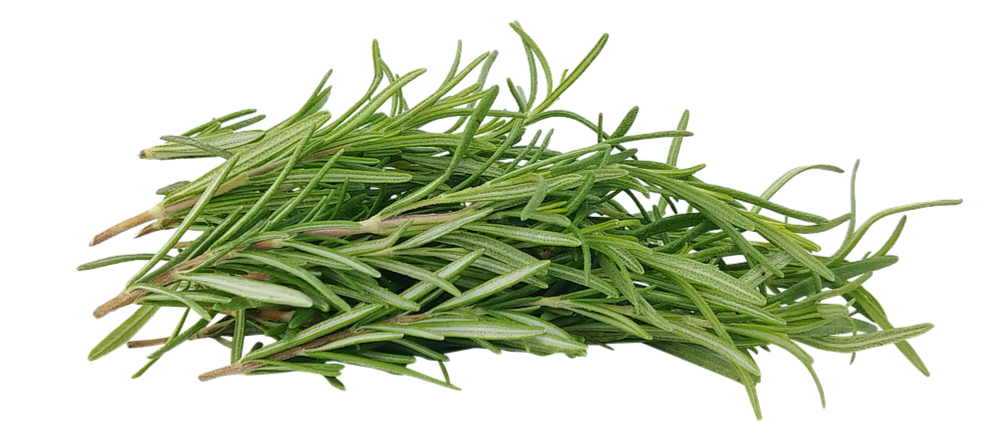 신선한 로즈메리 허브 사진