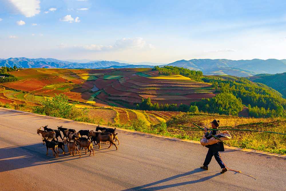 농지 임대차 계약서 작성 시 유의사항