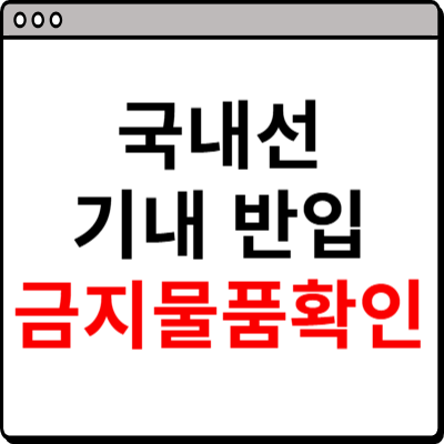 국내선 기내 반입 금지 물품 확인