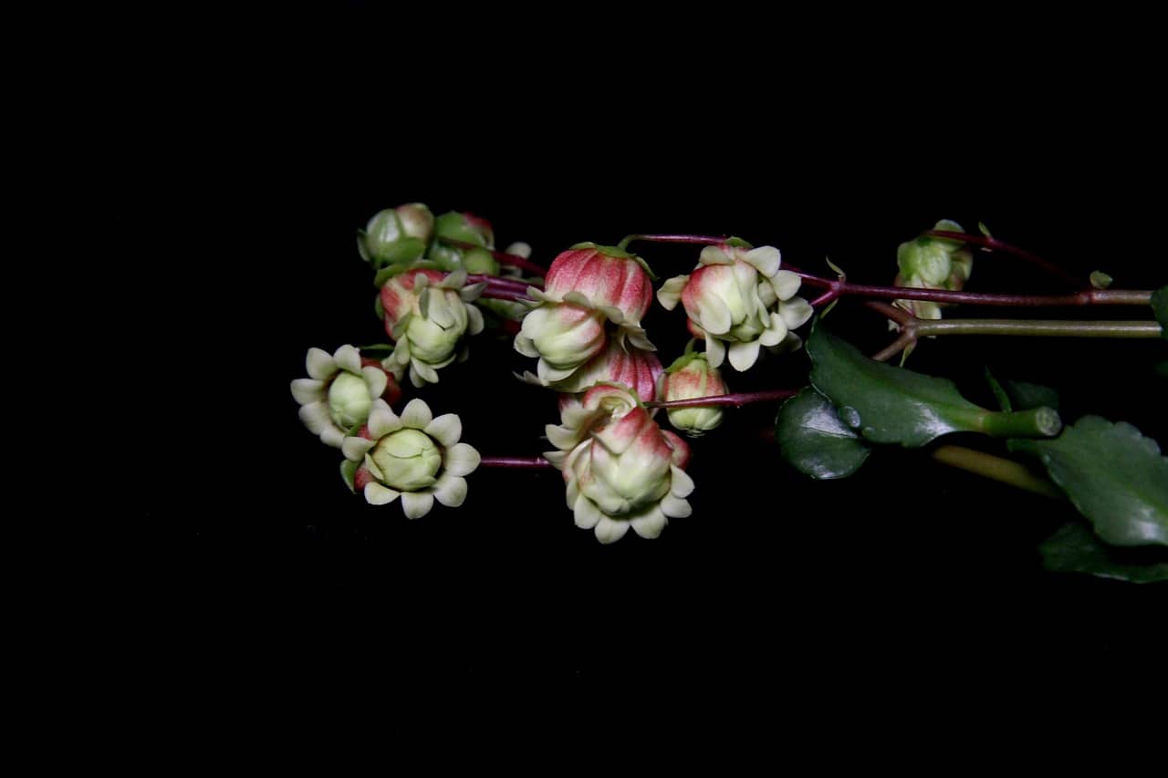 재활용 플라스틱 제품의 경제적 가치