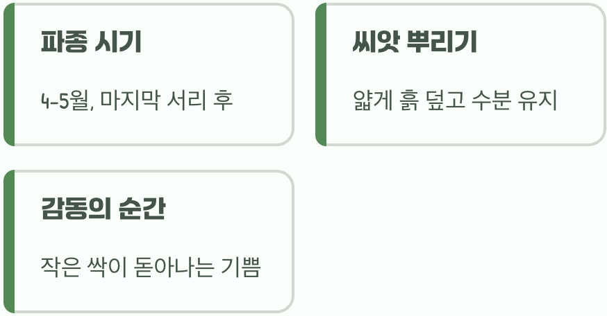 내년 봄을 기약하며