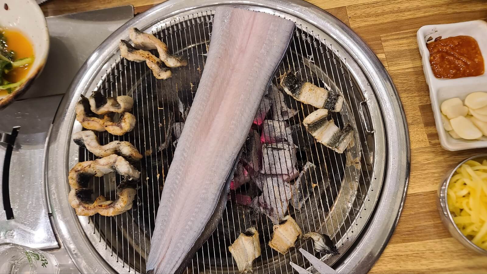 장어21