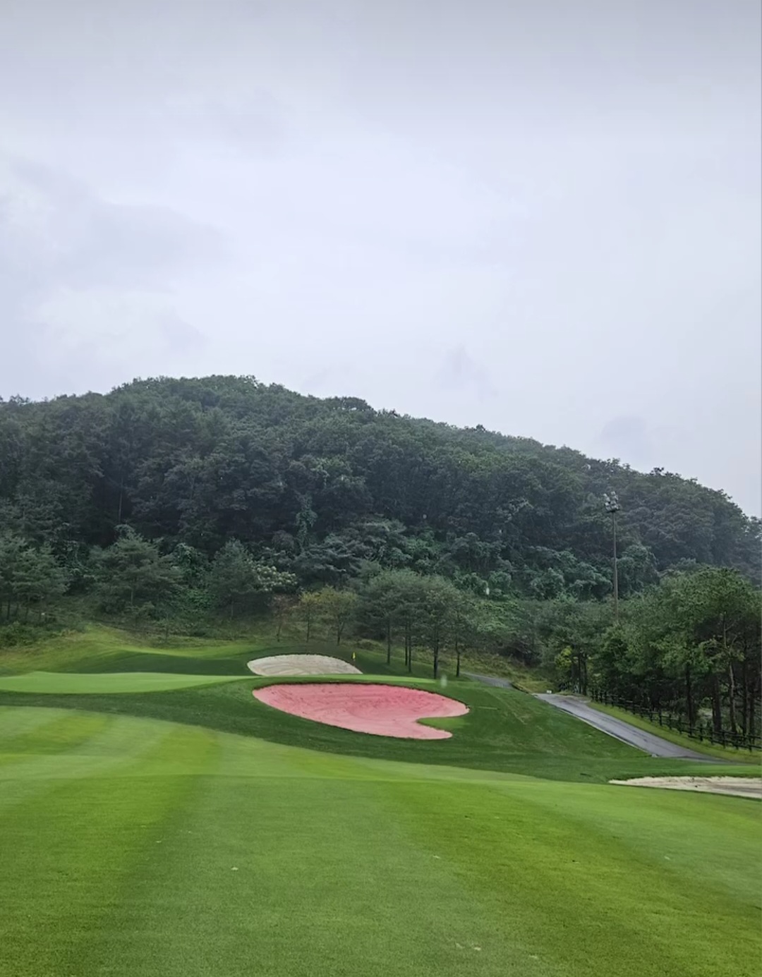 소노펠리체 west코스