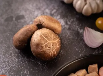 표고버섯 효능_25