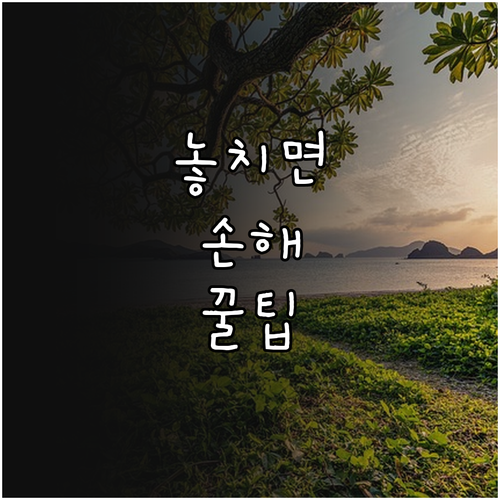 2025 마포구 무료 독감 접종 누가..