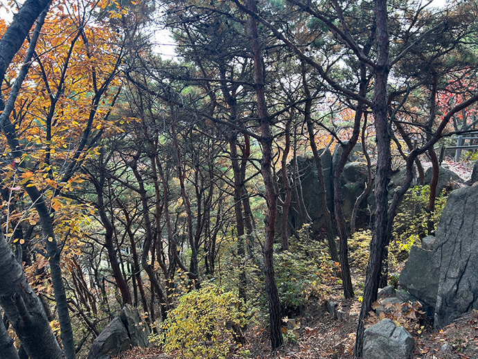 강서둘레길25