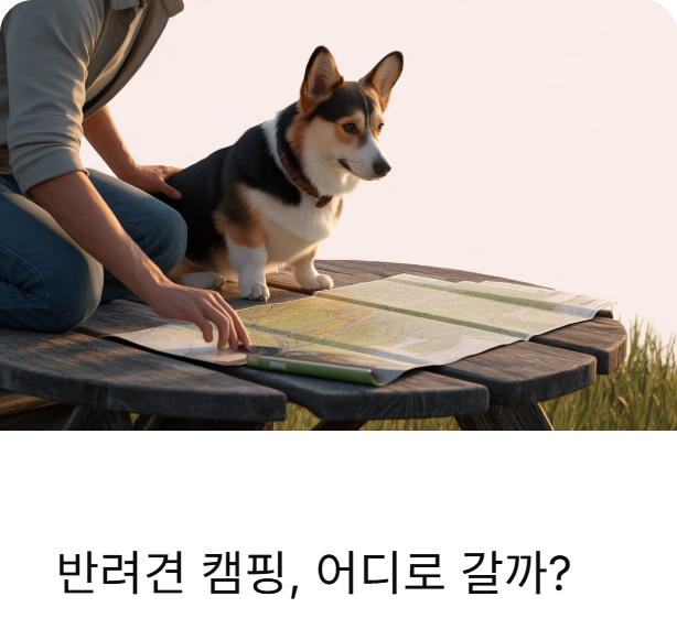 반려동물 동반 국립캠핑장 총정리