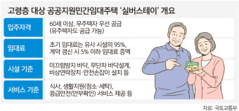 실버스테이