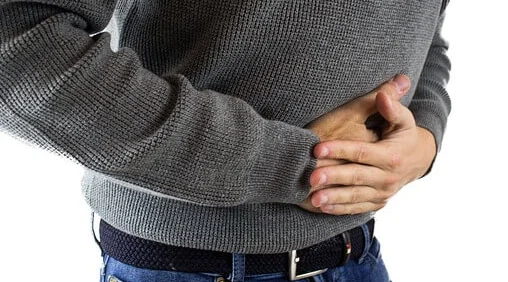 반려동물 자격증 창업 취업