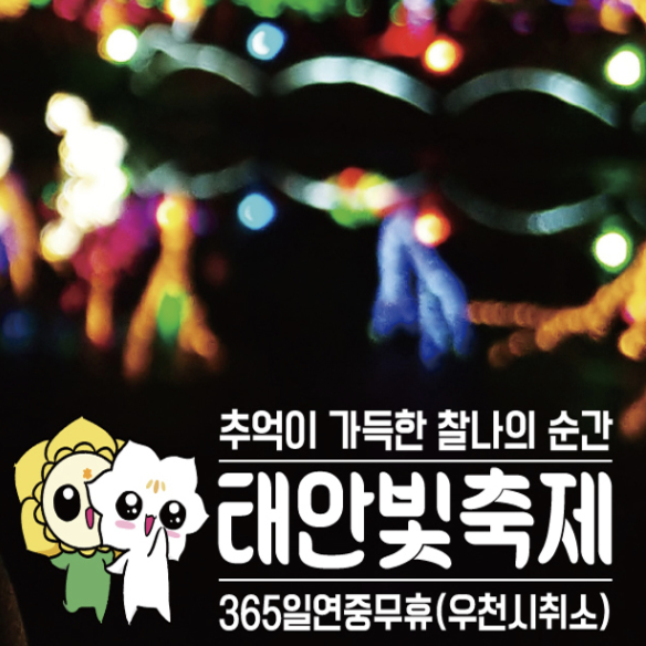 태안빛축제할인방법 태안별빛축제 태안불빛축제 태안애견동반 태안꽃축제 튤립축제 꽃박람회 태안할인