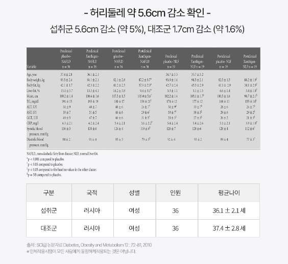 푸응 나이트버닝 프로 효능