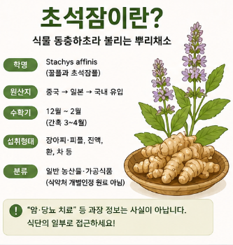 초석잠-효능-당뇨-효과-가격-부작용-먹는방법