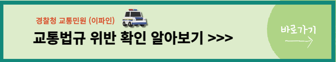 스쿨존 교통위반 (6)