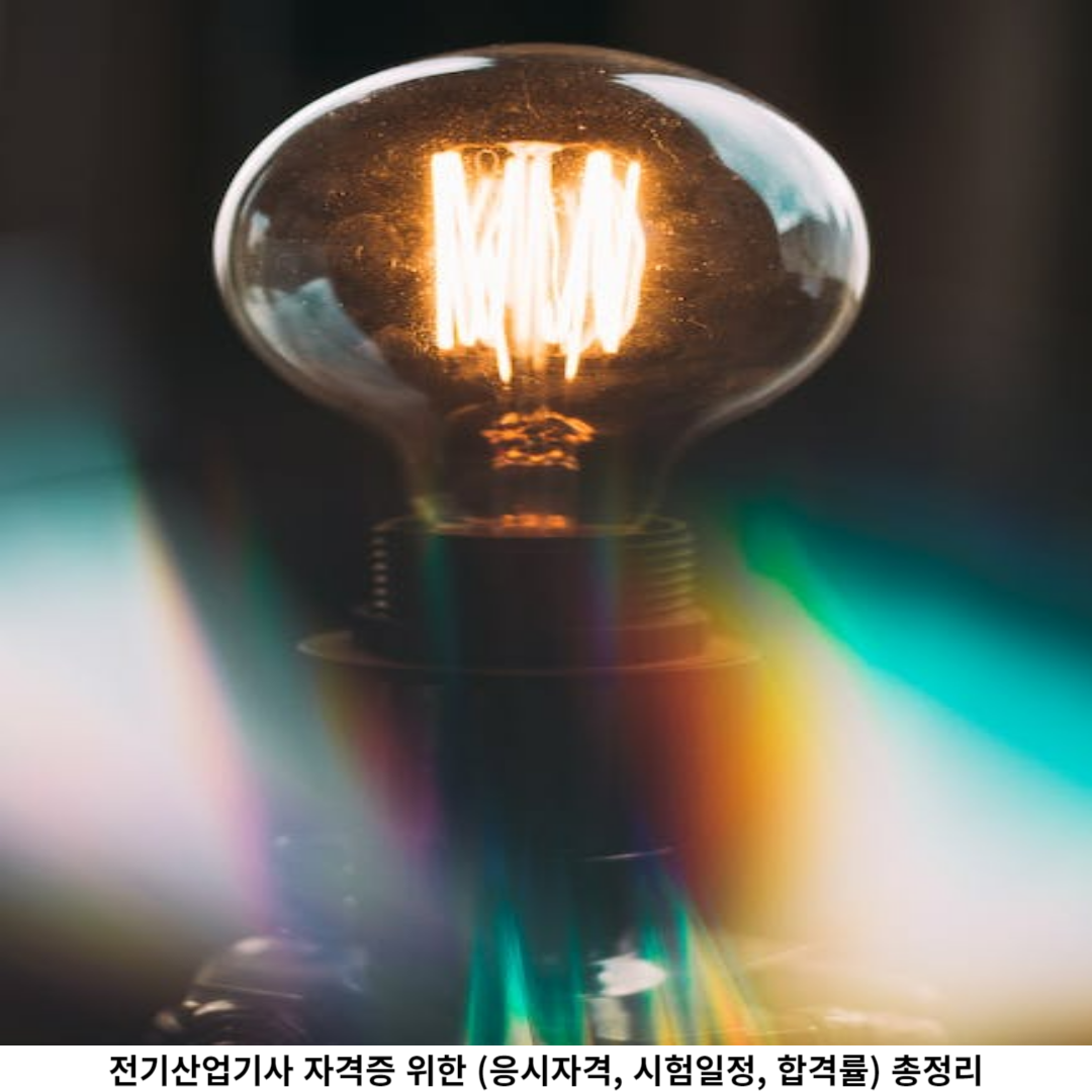 합격률 (최근 5년 통계)