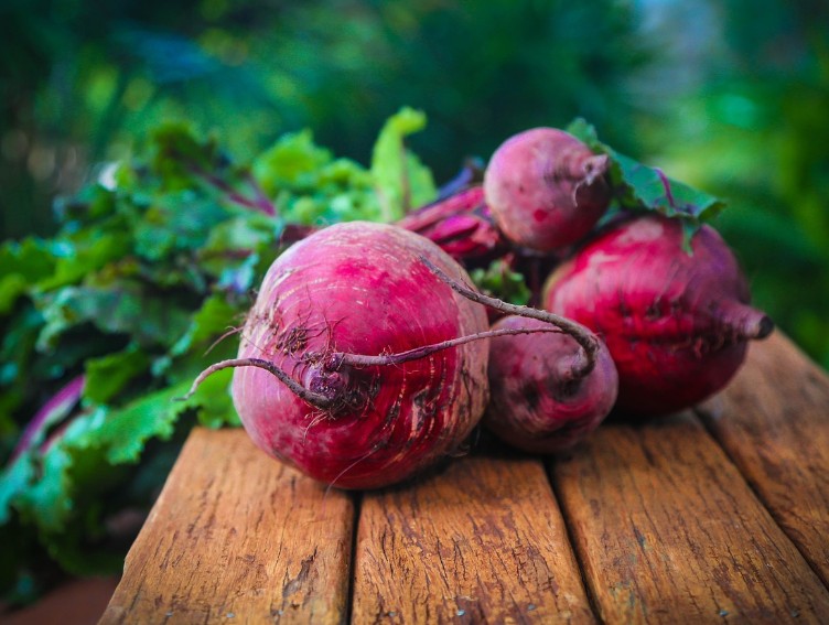 땅속의 사과라 불리는 비트