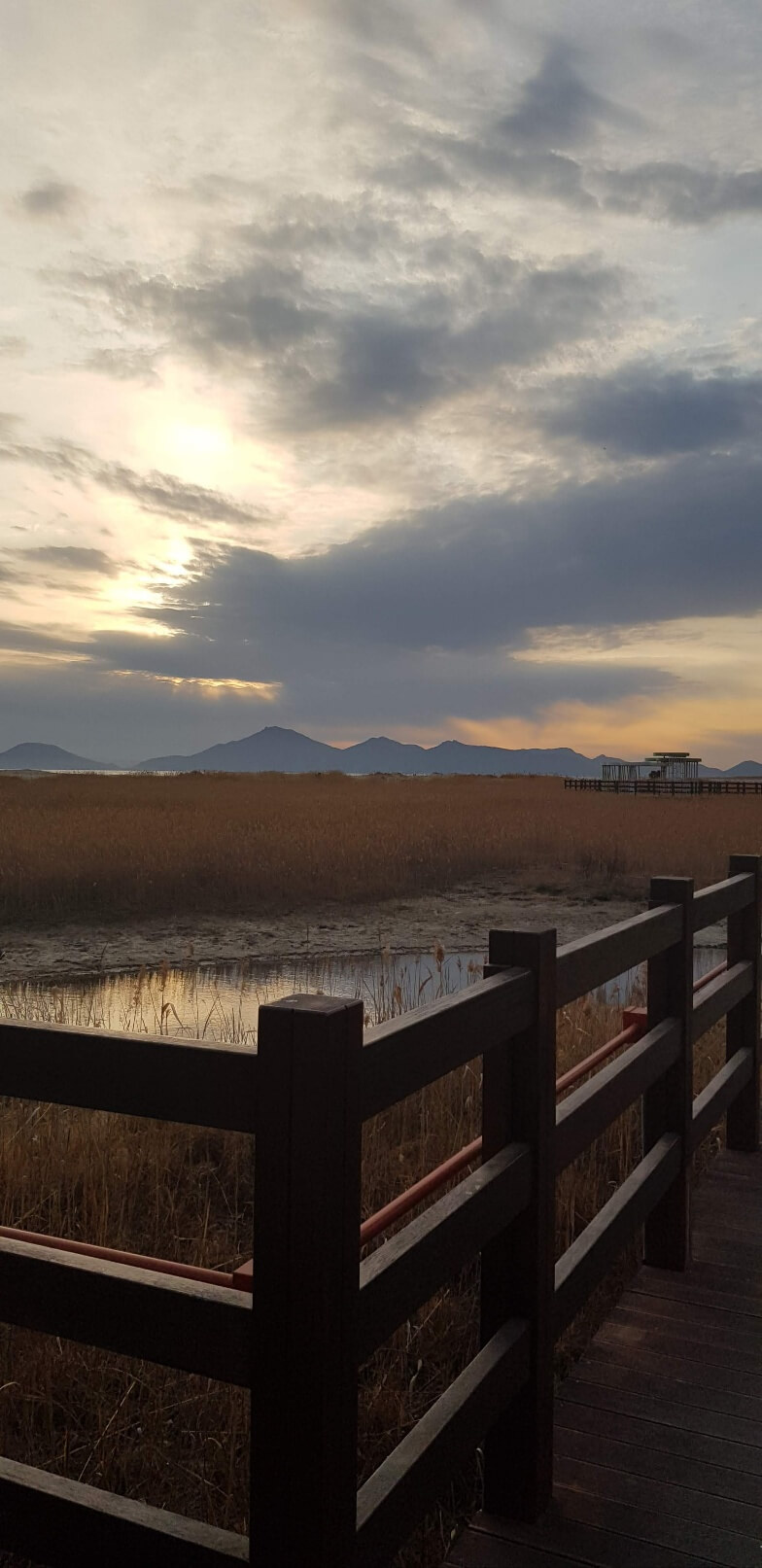 항공권 특가 놓치지 마세요! 인스턴트립&middot;고고씽 추천