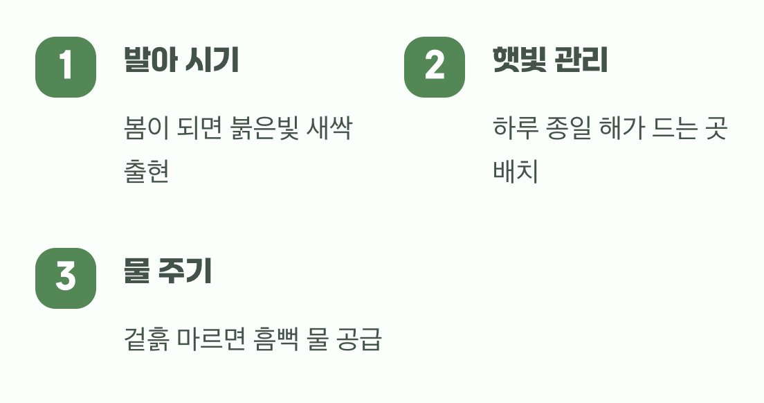 봄의 기적&amp;#44; 첫 싹을 만나다