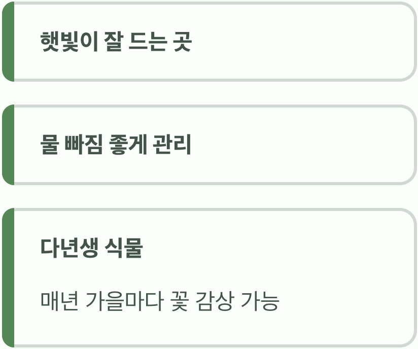 집에서 키울 수도 있을까?
