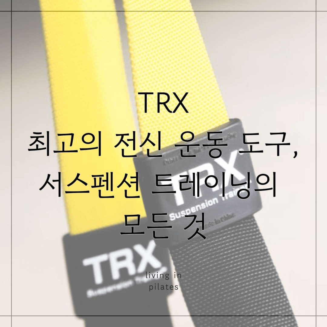 TRX: 최고의 전신 운동 도구, 서스펜션 트레이닝의 모든 것