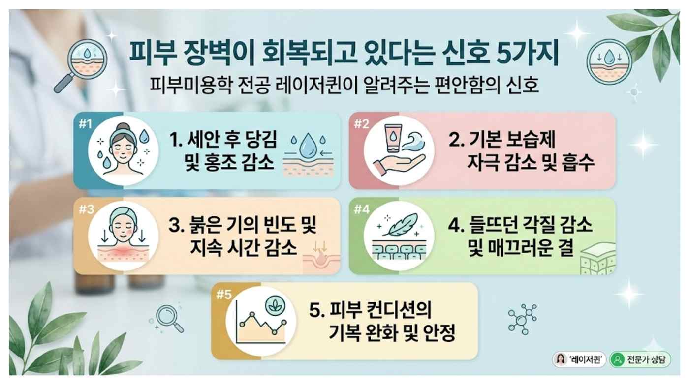 피부 장벽 회복 단계별 특징을 정리한 이미지