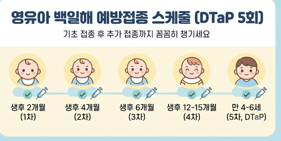 백일해예방접종시기