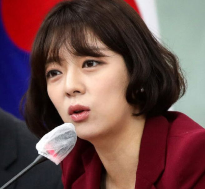 배현진 정치 경력
