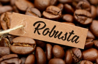 Robusta