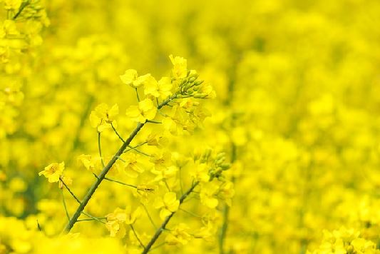 화담숲 예약 및 방문 정보9