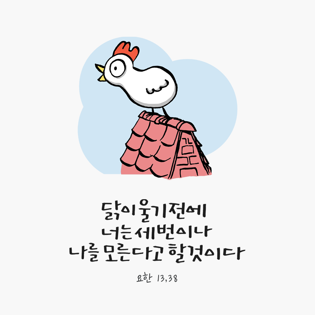 닭이 울기 전에 너는 세 번이나 나를 모른다고 할 것이다. (요한 13,38) by 피어나네 말씀카드 말씀이미지