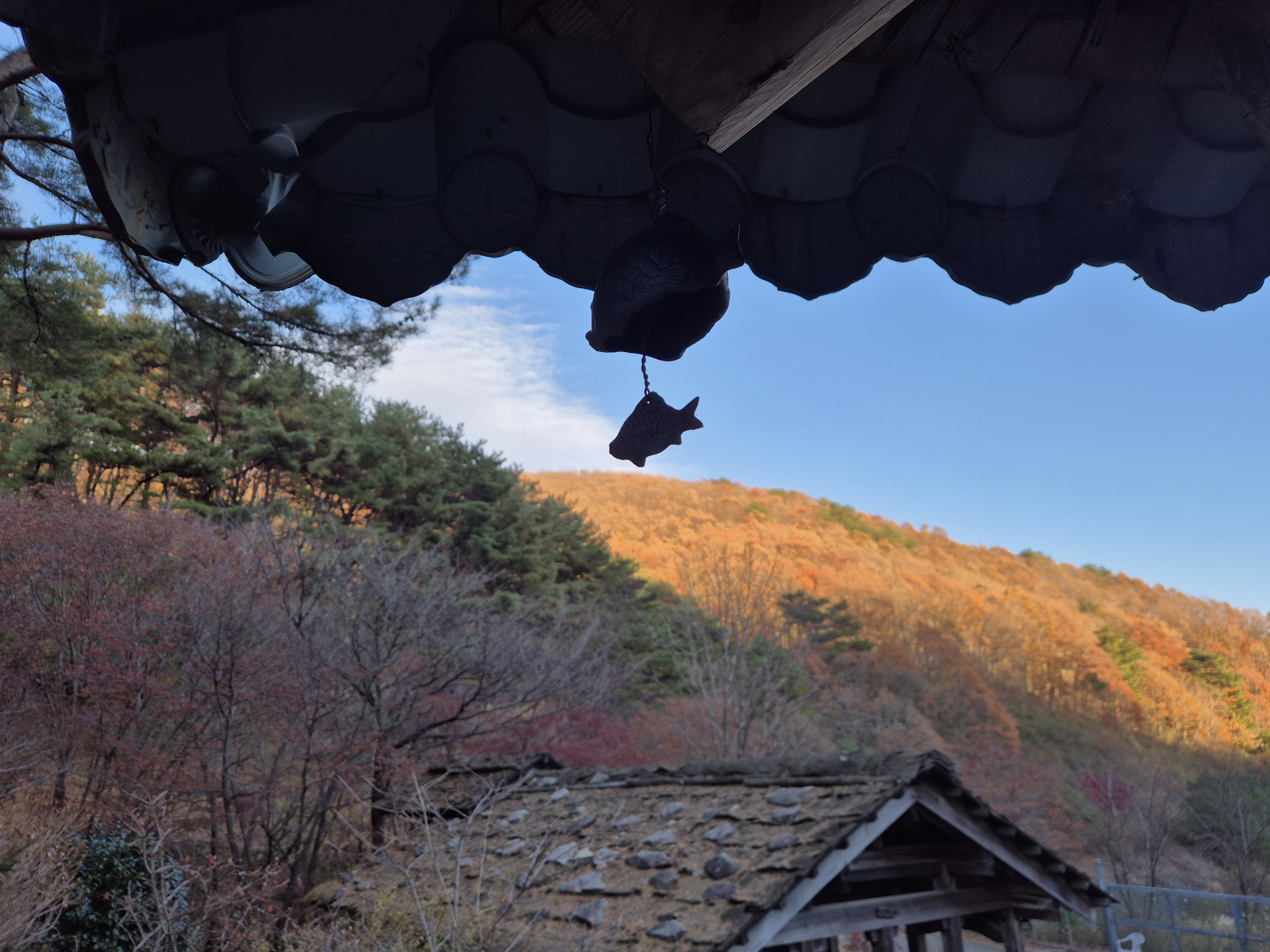 고운동천 처마 밑 풍경