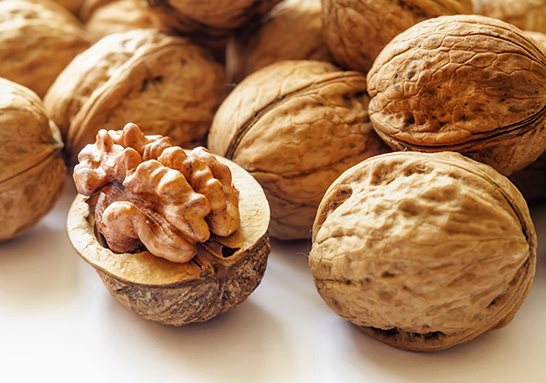 고지혈증에 좋은 음식