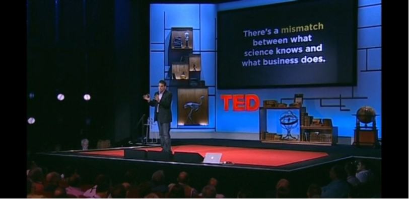 댄핑크의 관련사진