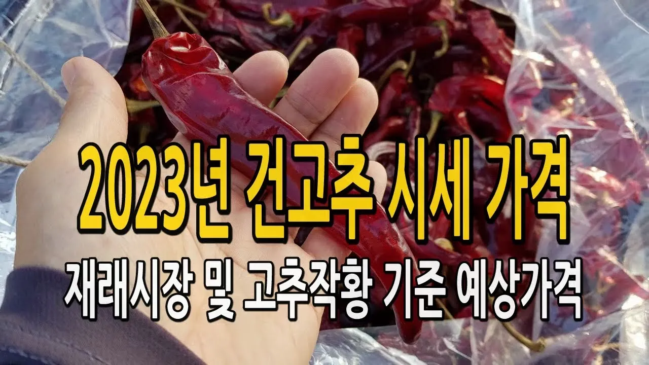 영양 고추 가격 시세 10근가격 현재 농산물 시세_1