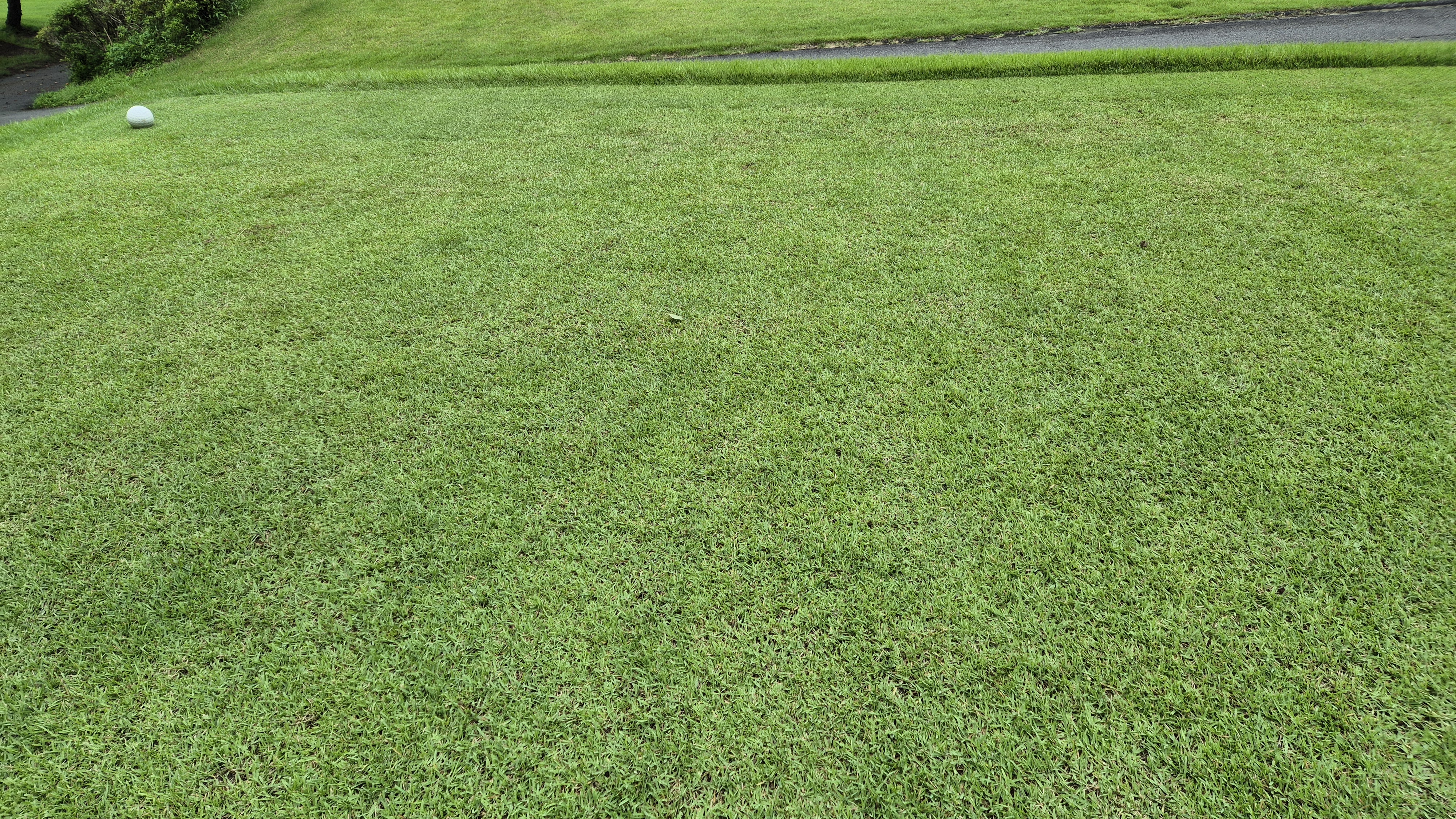 뉴서울cc 예술in-문화in 코스 라운드 후기