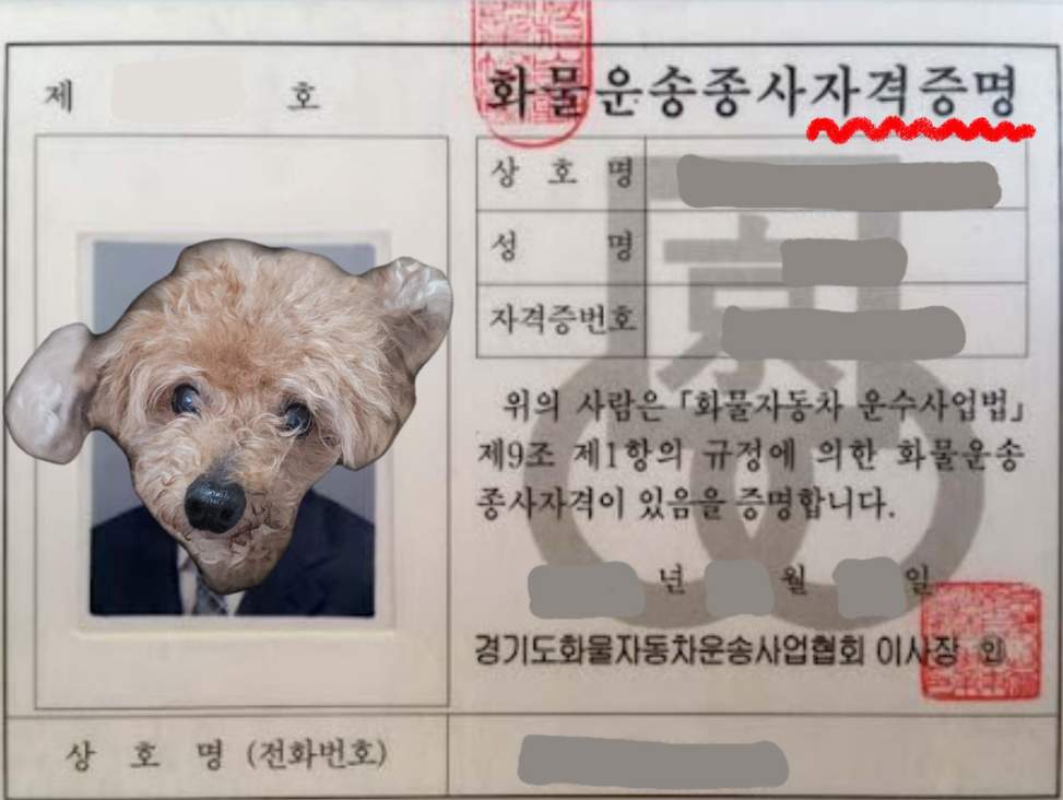 화물운송종사 자격증명