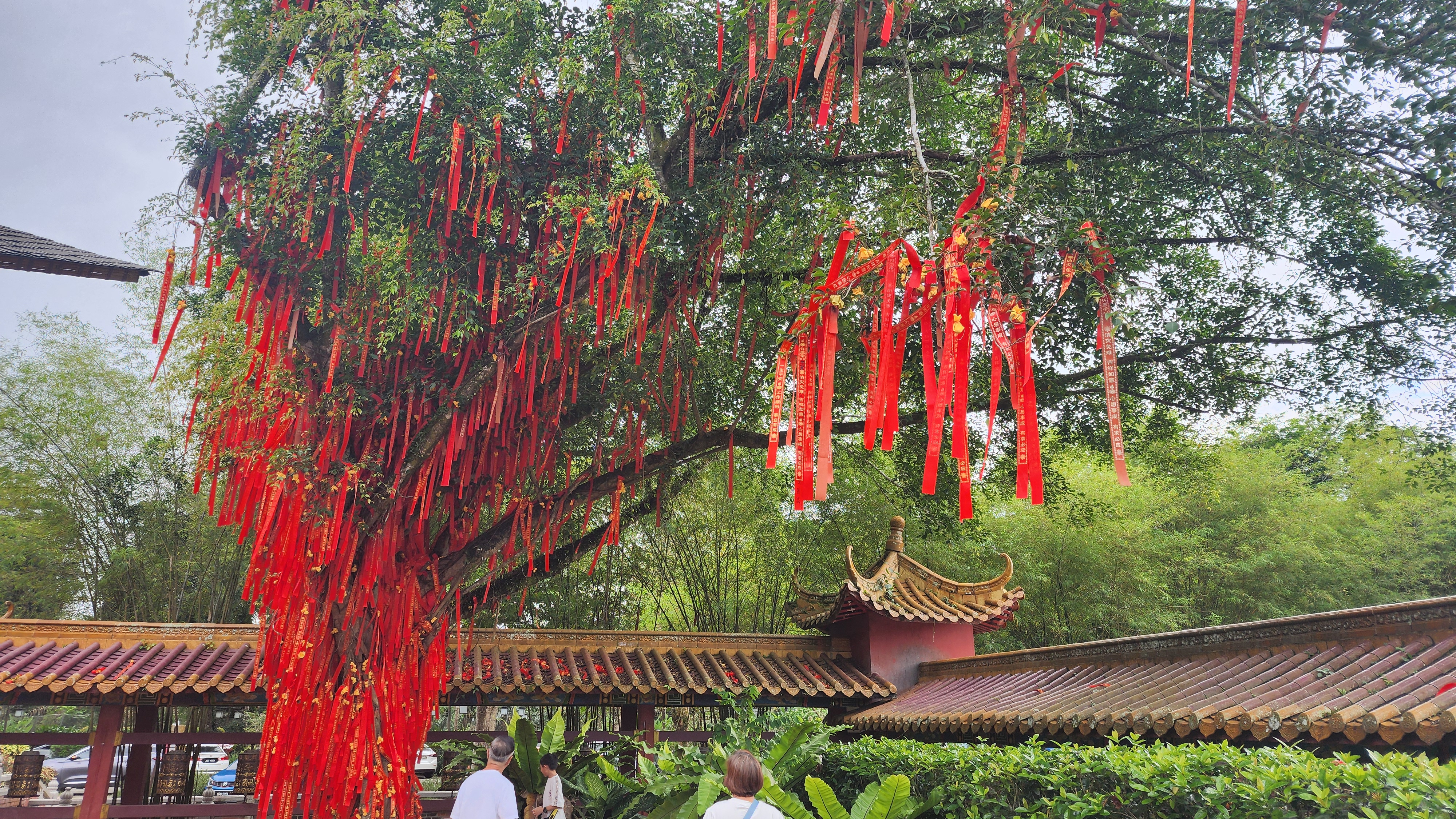 happy pray tree
