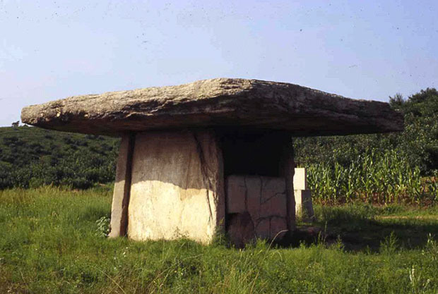 탁자식 고인돌 (卓子式 支石墓)