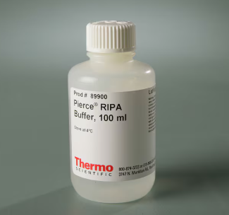RIPA buffer
