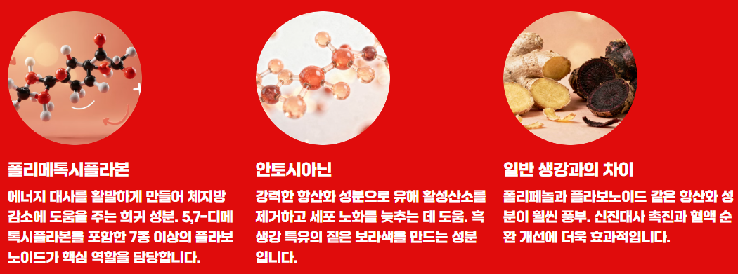 파비플로라 흑생강 효능 부작용