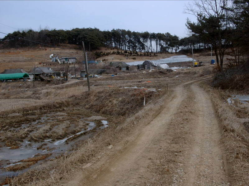 개별공시지가 조회