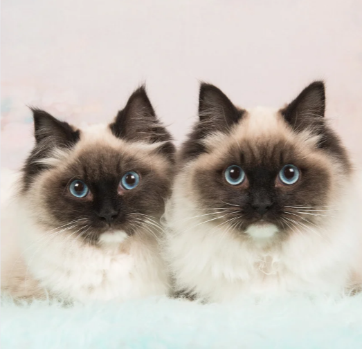 누끼 작업 할 이미지