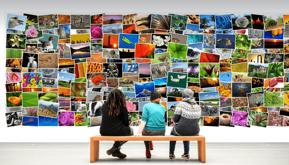 샤갈 특별전 관련 이미지