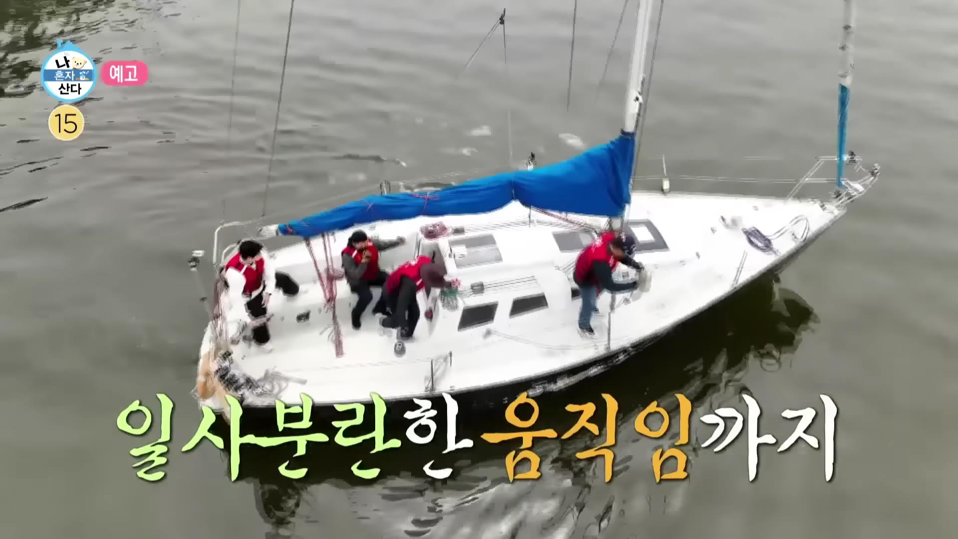 요트 면허 가격, 비용, 시험 절차, 온라인 신청, 시험 면제 교육 신청, 시험없이 교육으로 자격증