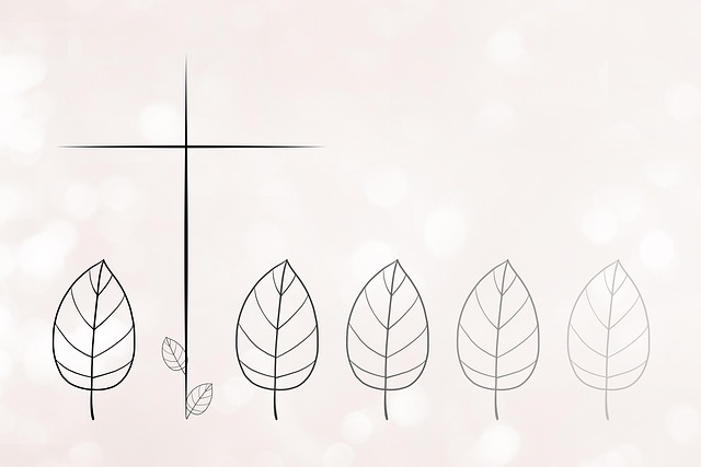 프리드라이프 상조