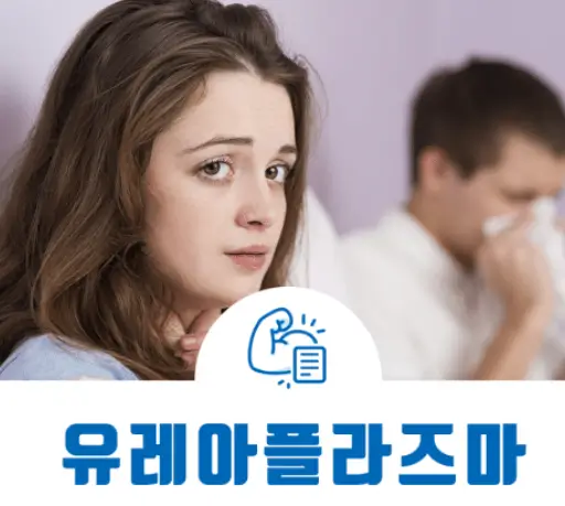 유레아플라즈마