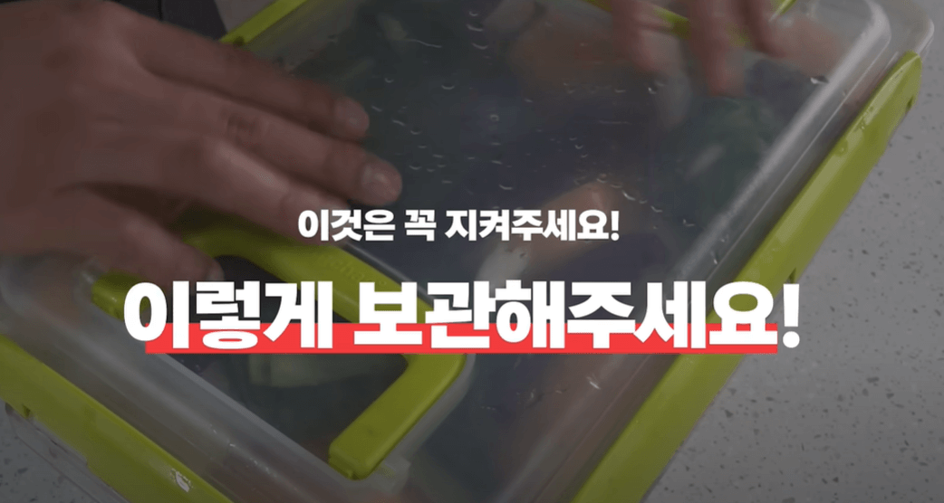 동치비 숙성 보관