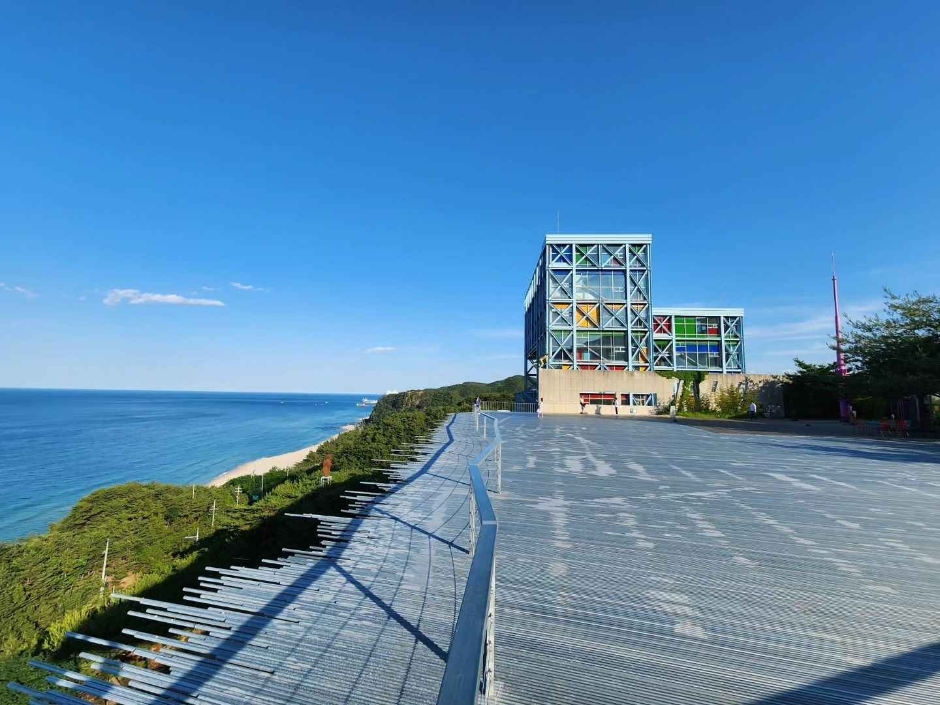 하슬라아트월드