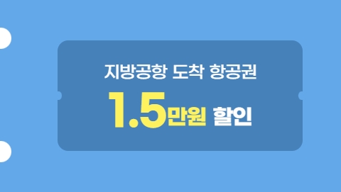 국내항공권할인